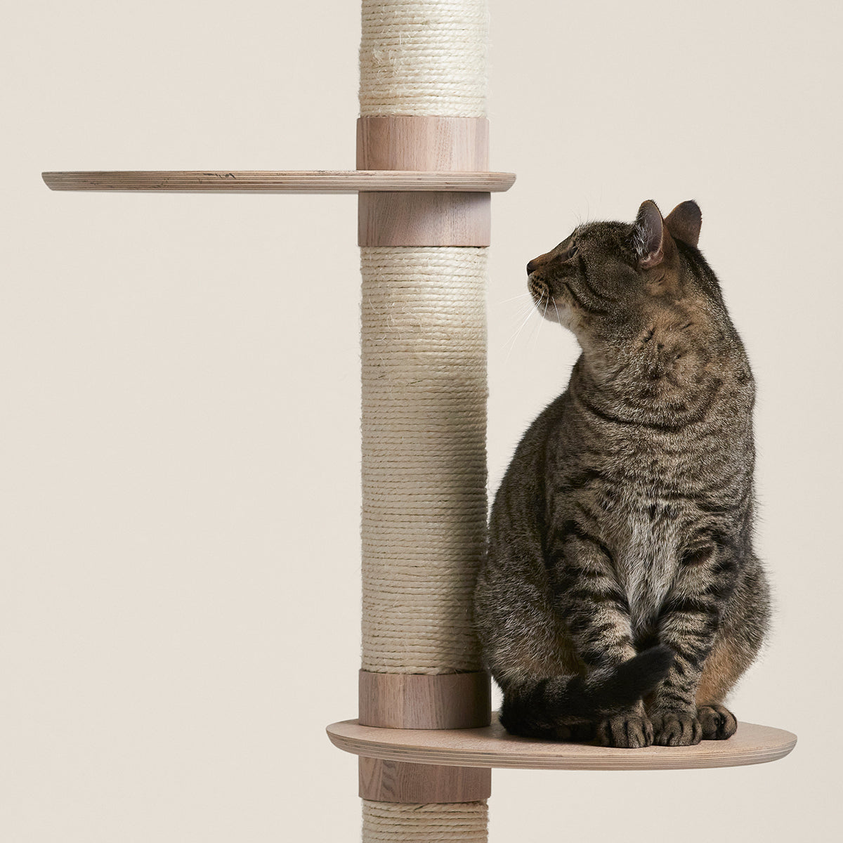 Multi-Level Cat Activity Climbing Tower
